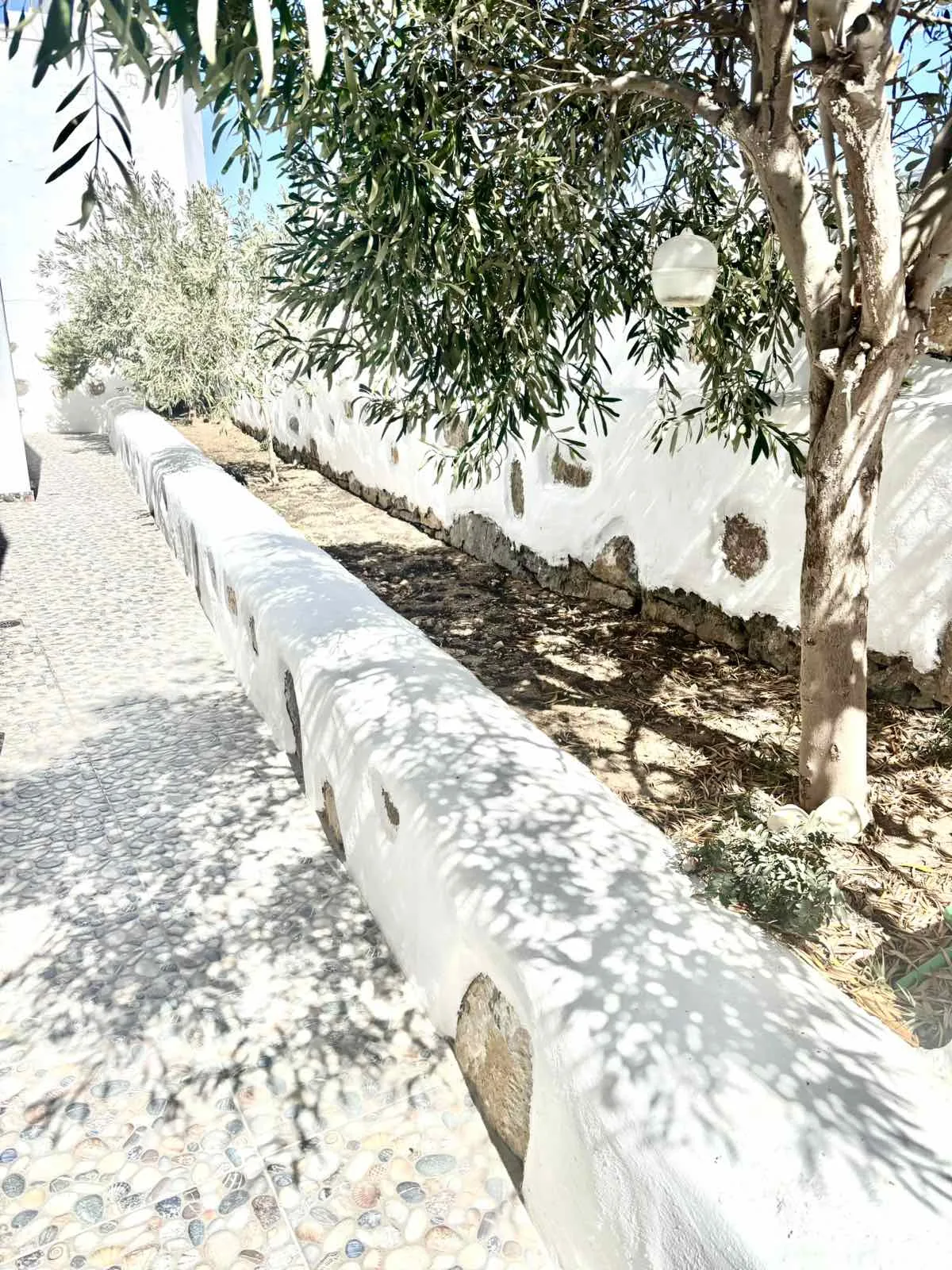 Σκιερό εξωτερικό μονοπάτι με δέντρα