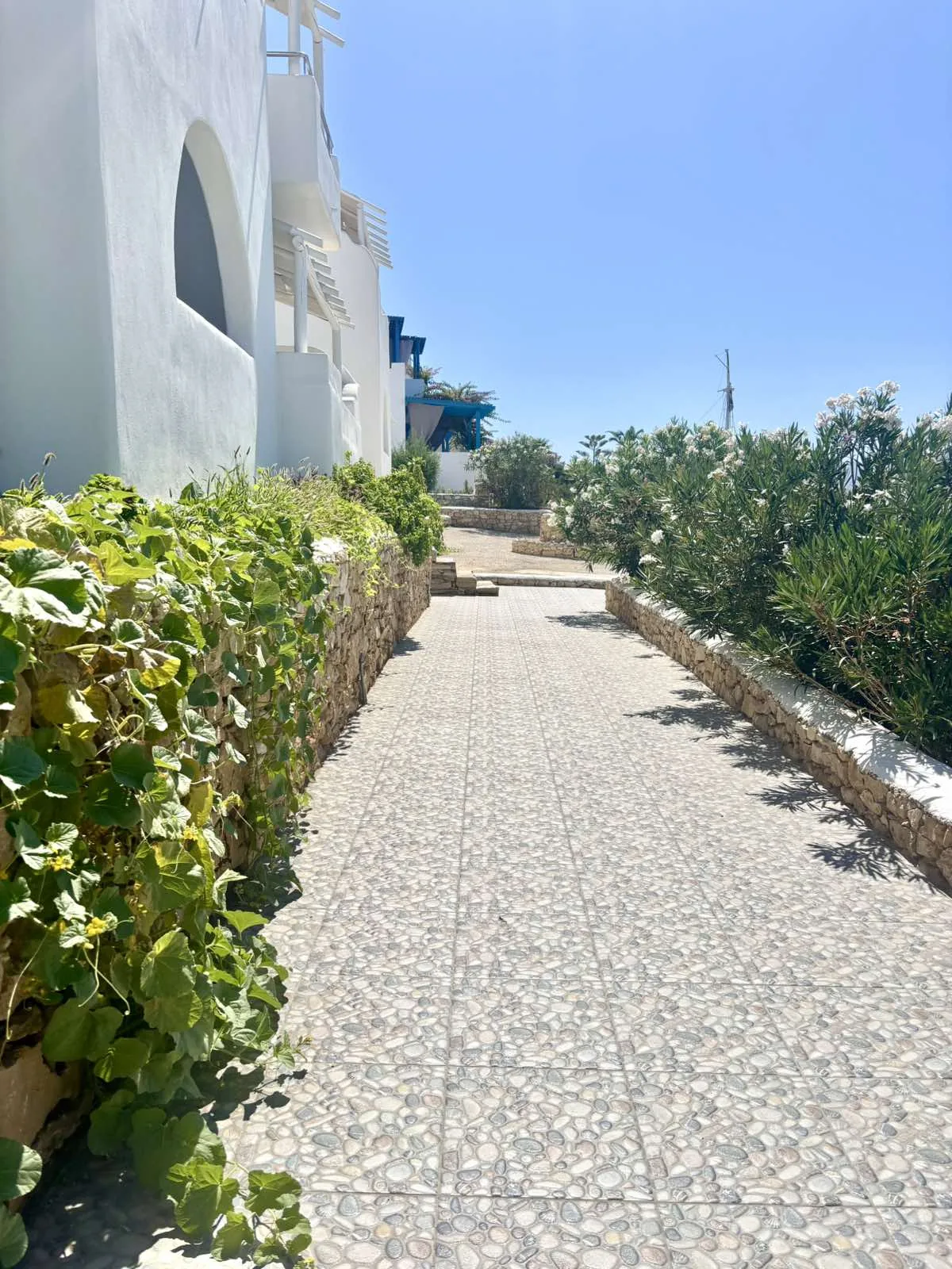 Πλακόστρωτο μονοπάτι δίπλα στον κήπο
